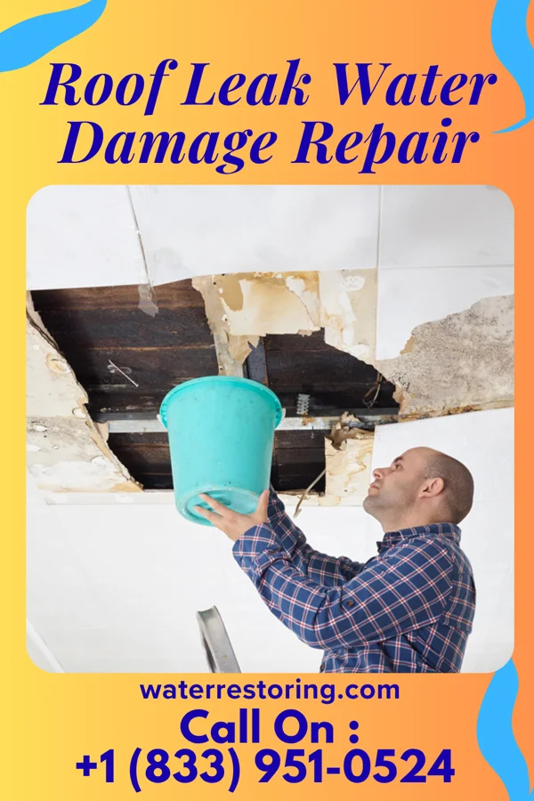 Roof Leak Water Damage Repair in New Albany, KS